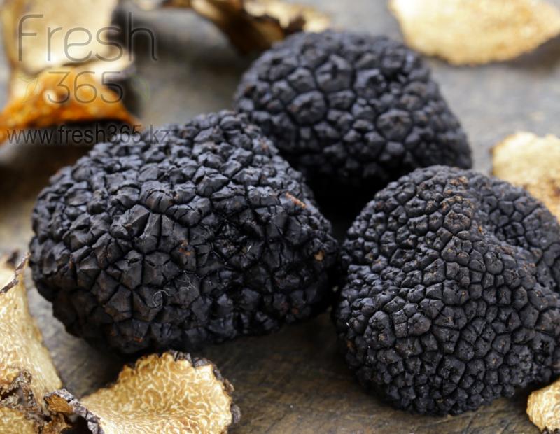 Черный трюфель / Mushrooms Black Truffles