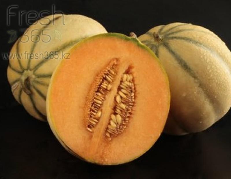 Дыни шаранские / Melons Charentais