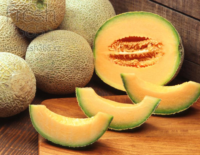Дыни кантулапа / Melons Cantaloup