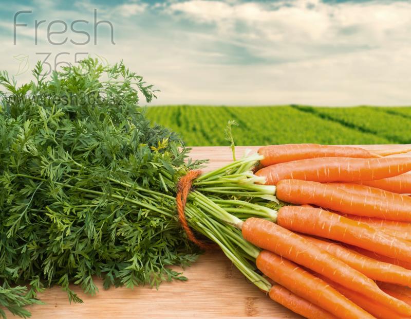 Пучковая Морковь / Carrots Bunched