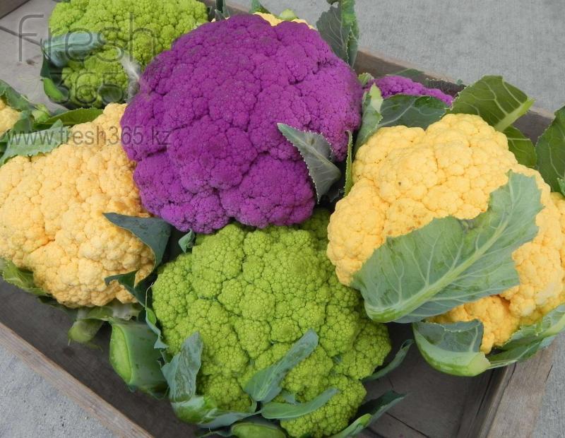 Цветная капуста / Cauliflower