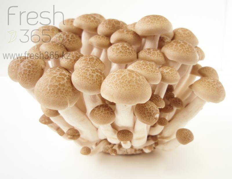 Шимиджи коричневые / Mushrooms Shimiji Brown