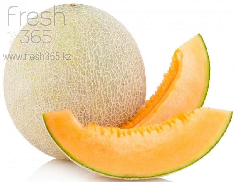 Дыни кантулапа / Melons Cantaloup