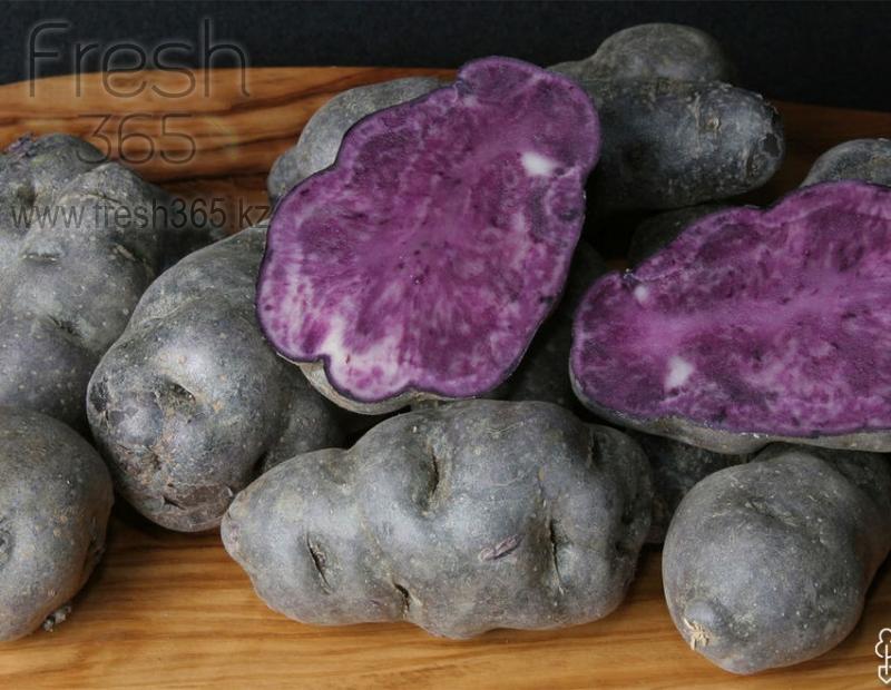 Картофель фиолетовый / Potato Violet