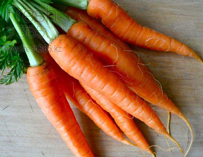 Пучковая Морковь / Carrots Bunched