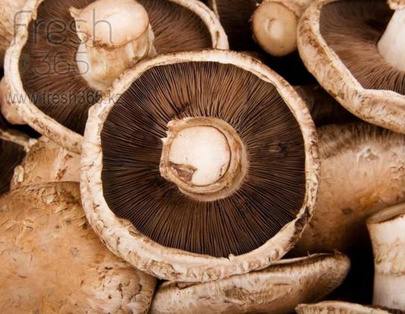 Грибы Портобелло / Mushrooms Portobello