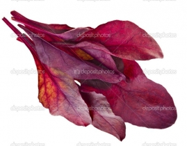 
Бейби листья свеклы красные / Bulls Blood baby leaves
