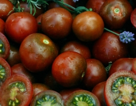 
Черри на ветке помо марроне / Cherry Tomato on Vine Pomo Marrone
