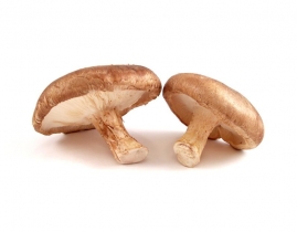 
Грибы Шитаки / Mushrooms Shitake
