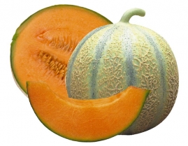 
Дыни шаранские / Melons Charentais
