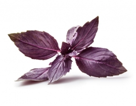
Листья шиссо фиолетовые / Shiso Leaves Purple
